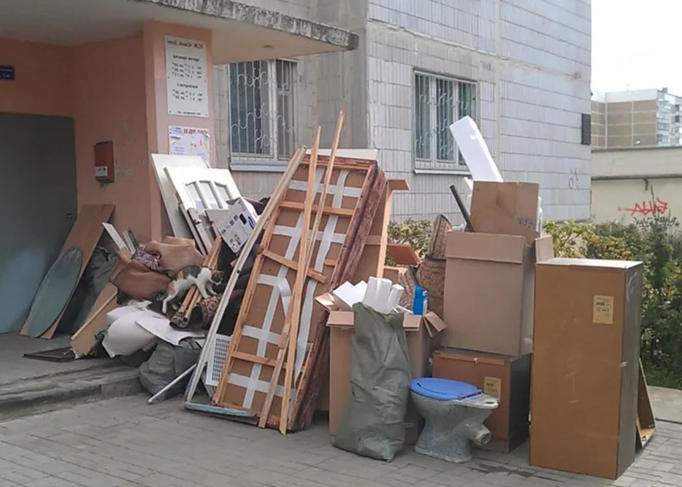Профессиональный вывоз мусора из квартиры в Новокузнецке в октябре