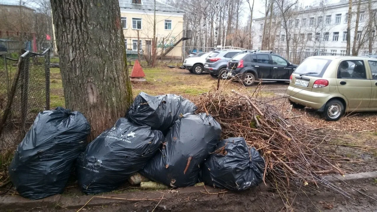 Вывоз мусора после субботника в Новокузнецке от ПроМусор – уборка и утилизация отходов от 2414 руб