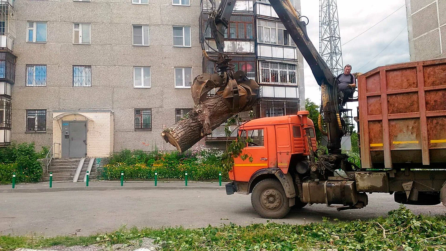 Вывоз спиленных веток и деревьев в Новокузнецке от ПроМусор: порубочные остатки, утилизация, цена от 2979 руб