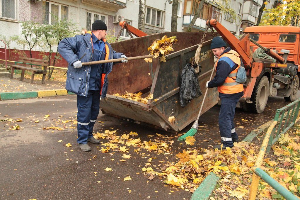 Вывоз опавшей листвы и растительного мусора в Новокузнецке от ПроМусор – цена от 4623 руб., быстрая уборка и утилизация